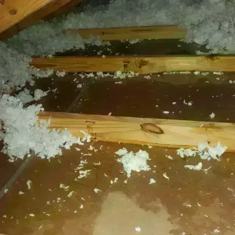 Attic Water Damage in Glenwood, IA