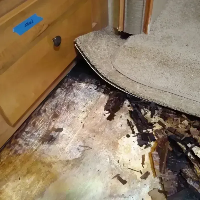 Best Wood Floor Water Damage Service in Glenwood, IA